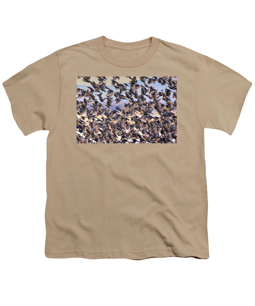 Birds Youth T-Shirt featuring the photograph Controled Chaos by Robert Harris