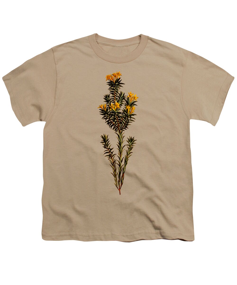 Flax Leaved Gnidia Youth T-Shirt featuring the mixed media Flax leaved gnidia flower on Misty Green With Dry Brush Effect by Movie Poster Prints