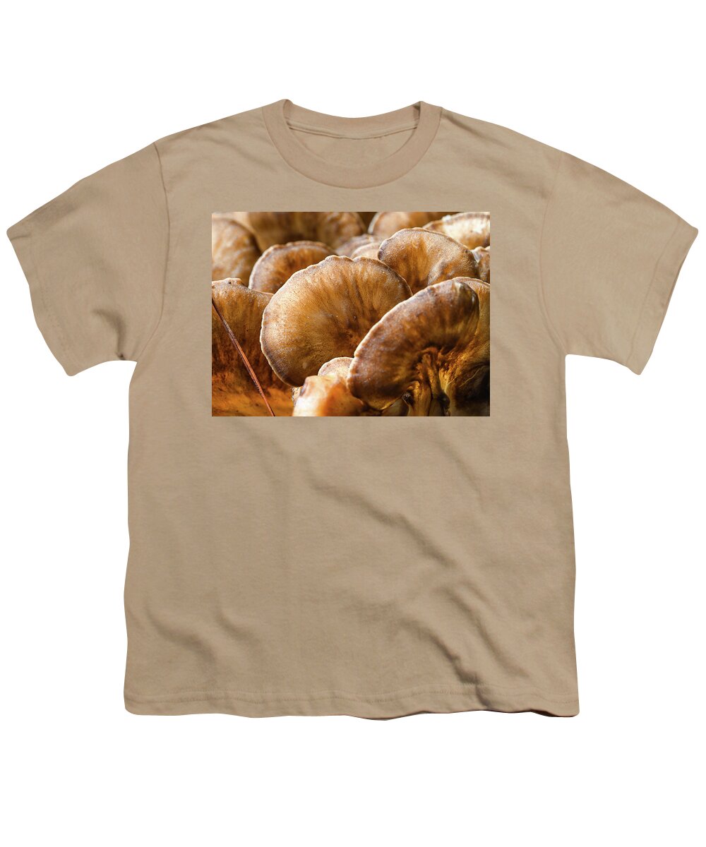 Fungi Youth T-Shirt featuring the photograph Glowing Fungi Lobe by Steven Nelson