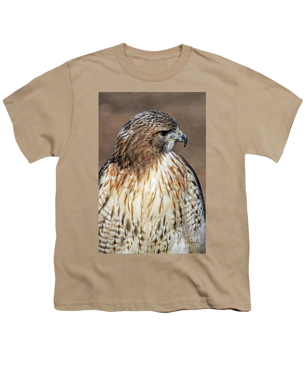 Bird Youth T-Shirt featuring the photograph Hawk by Tom Watkins PVminer pixs
