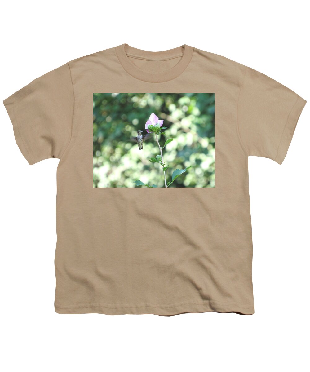 #hummingbird #early #morning #roseofsharon #fully #blooming #north #georgia #midair Youth T-Shirt featuring the photograph I Love You Rose by Belinda Lee