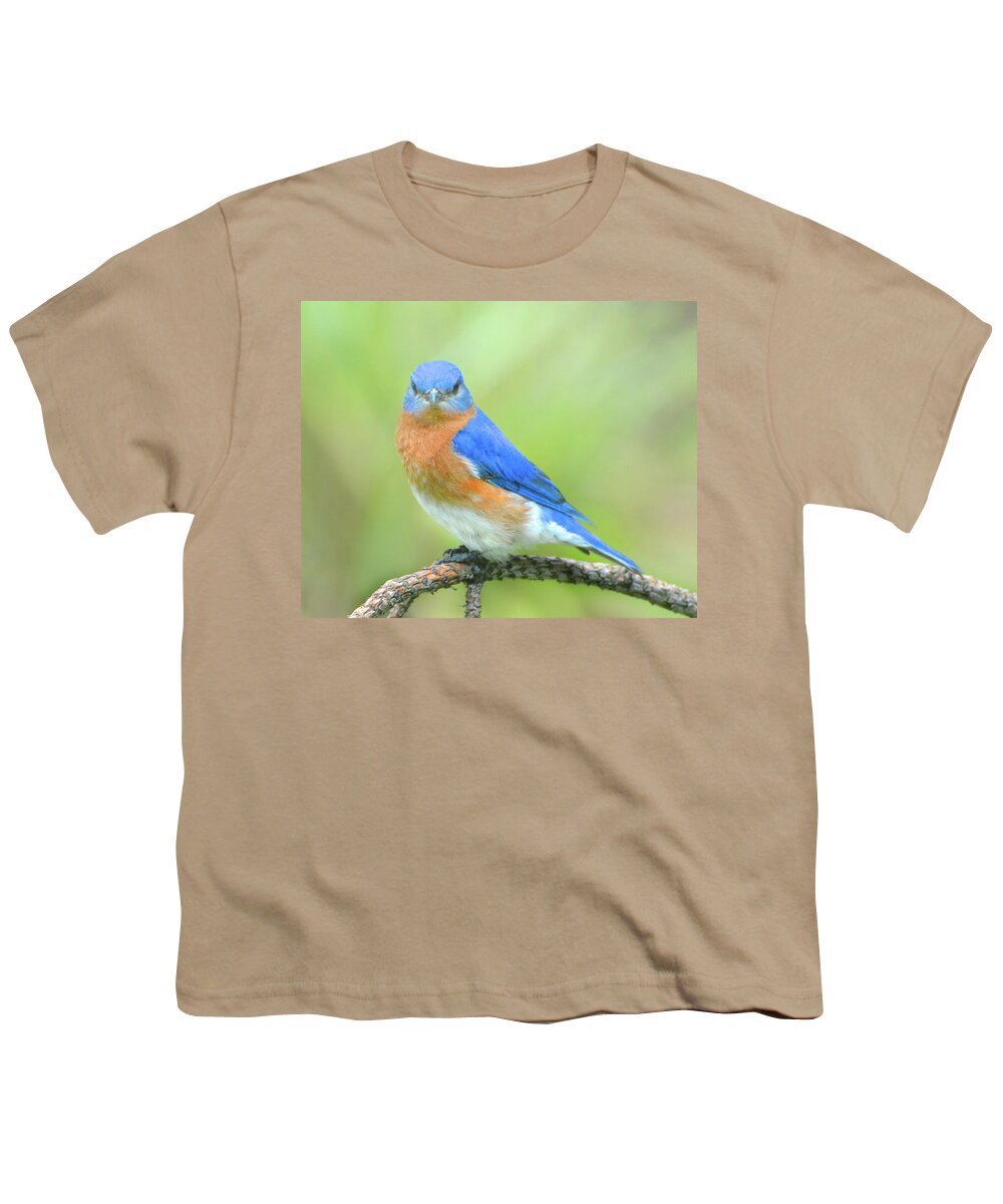 Bluebird Youth T-Shirt featuring the photograph I'm Prettier Than You by Jerry Griffin