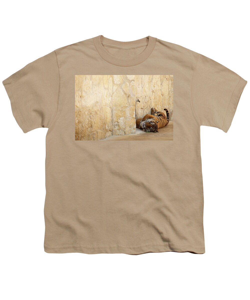 Tiger Youth T-Shirt featuring the photograph Just Chillin' by Melissa Southern