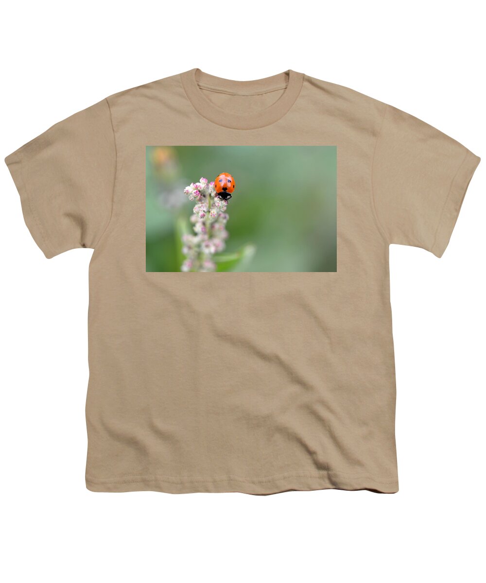 Lady Bug Youth T-Shirt featuring the photograph Lady Bug 1 by Amy Fose
