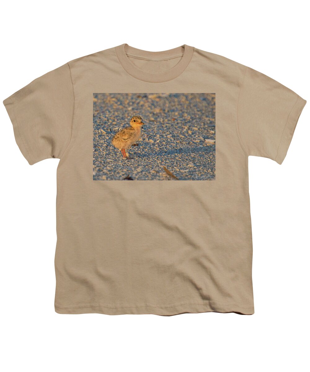 Susan Molnar Youth T-Shirt featuring the photograph Least Tern Chick by Susan Molnar
