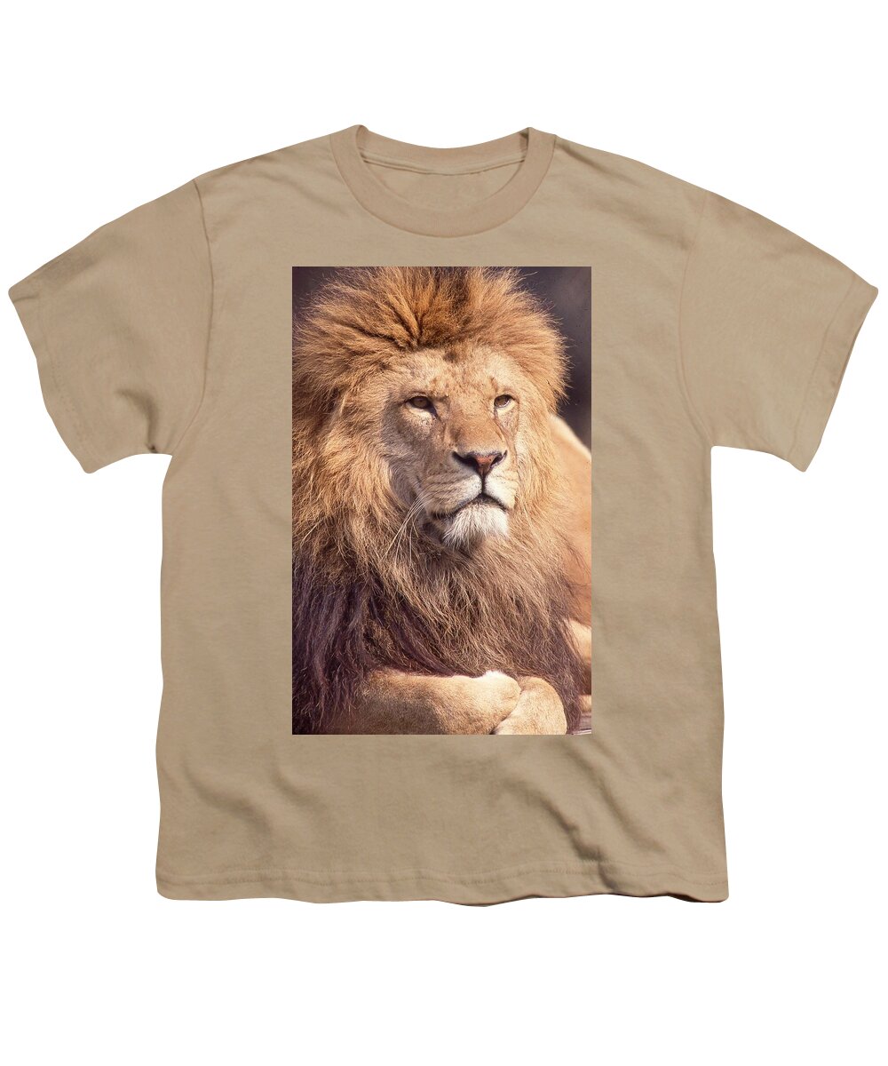 Lion Youth T-Shirt featuring the photograph Lion King 2 by Russel Considine