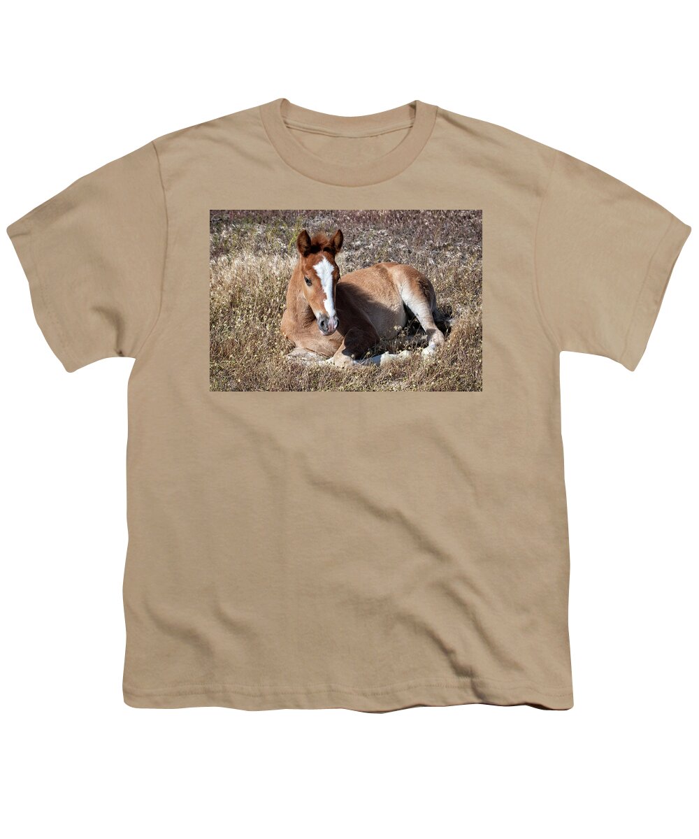 Horse Youth T-Shirt featuring the photograph Little One by Jeanette Mahoney