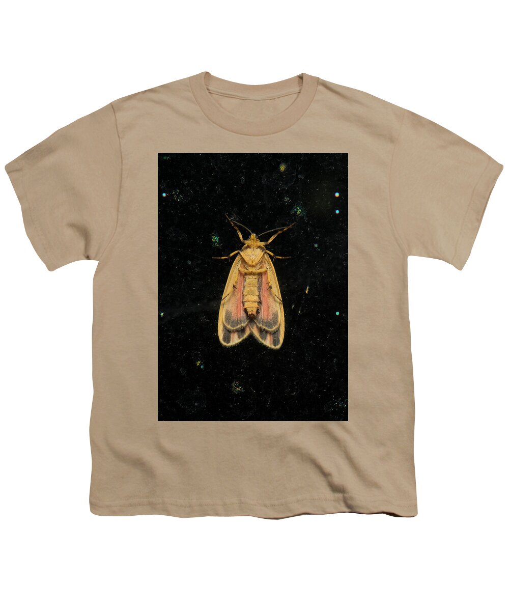Scarlet Youth T-Shirt featuring the photograph Moth Series, Lepidoptera, Scarlet - Winged Lichen Moth, Hypoprepia miniata 94 by Eric Abernethy