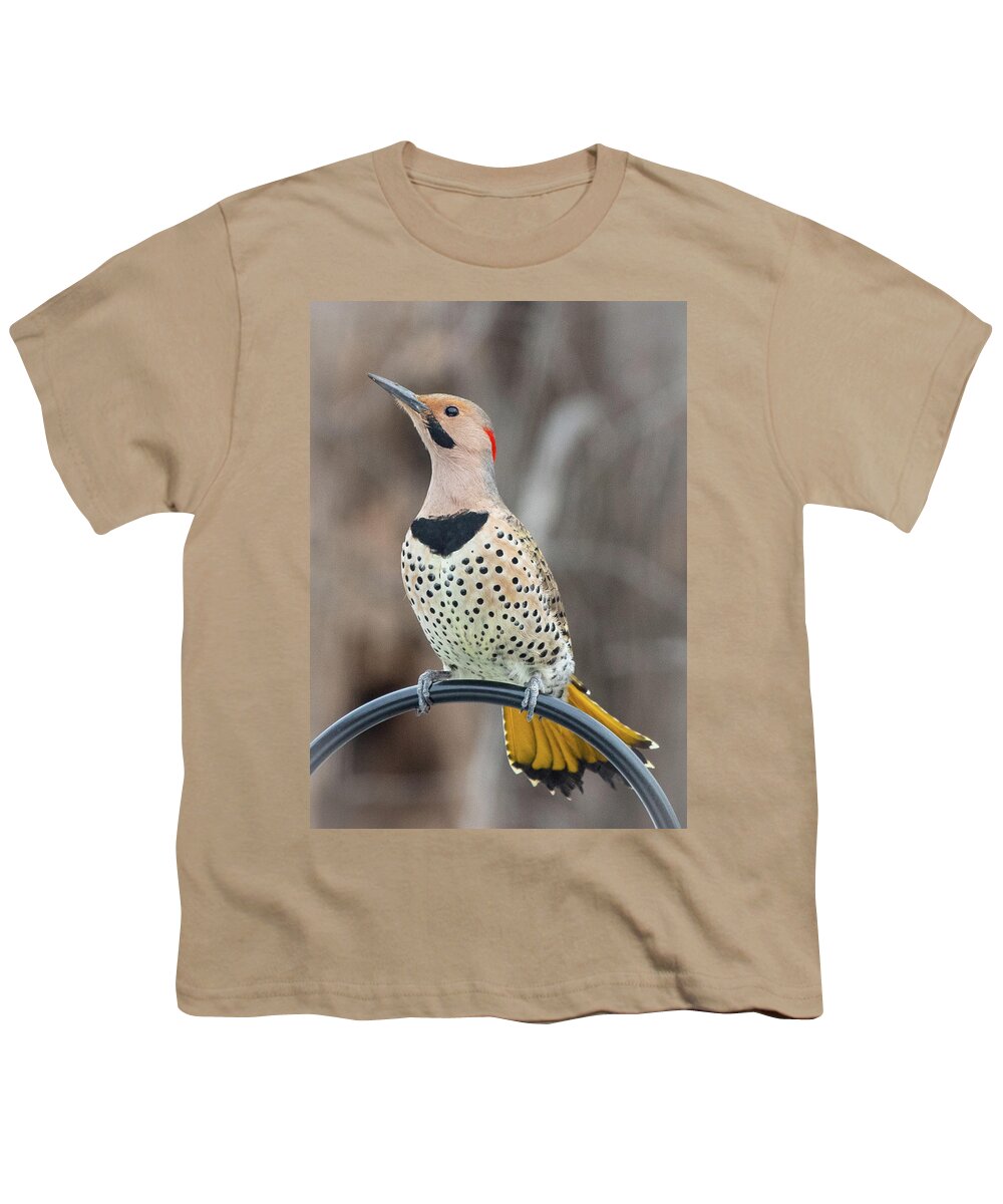 2019 Youth T-Shirt featuring the photograph Northern Flicker 3 by Gerri Bigler