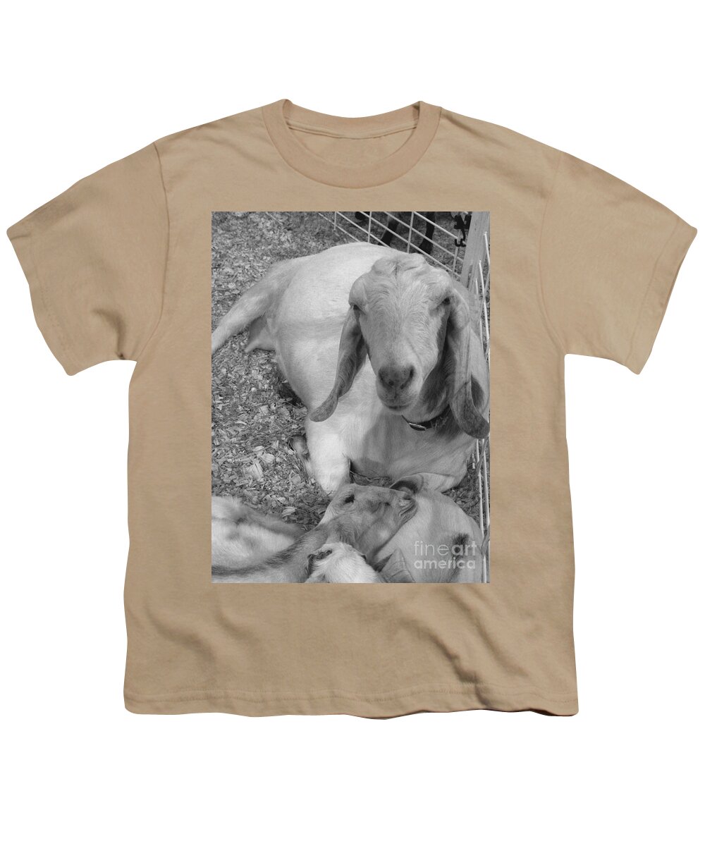 Nubian Goat Youth T-Shirt featuring the photograph Nubian Goat and Kids BW by Connie Fox
