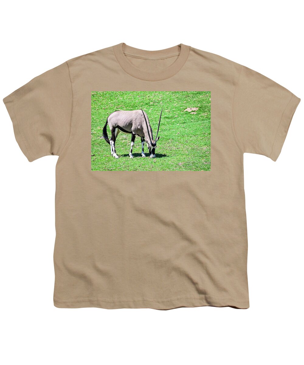 Oryx Youth T-Shirt featuring the photograph Oryx by Ed Stokes
