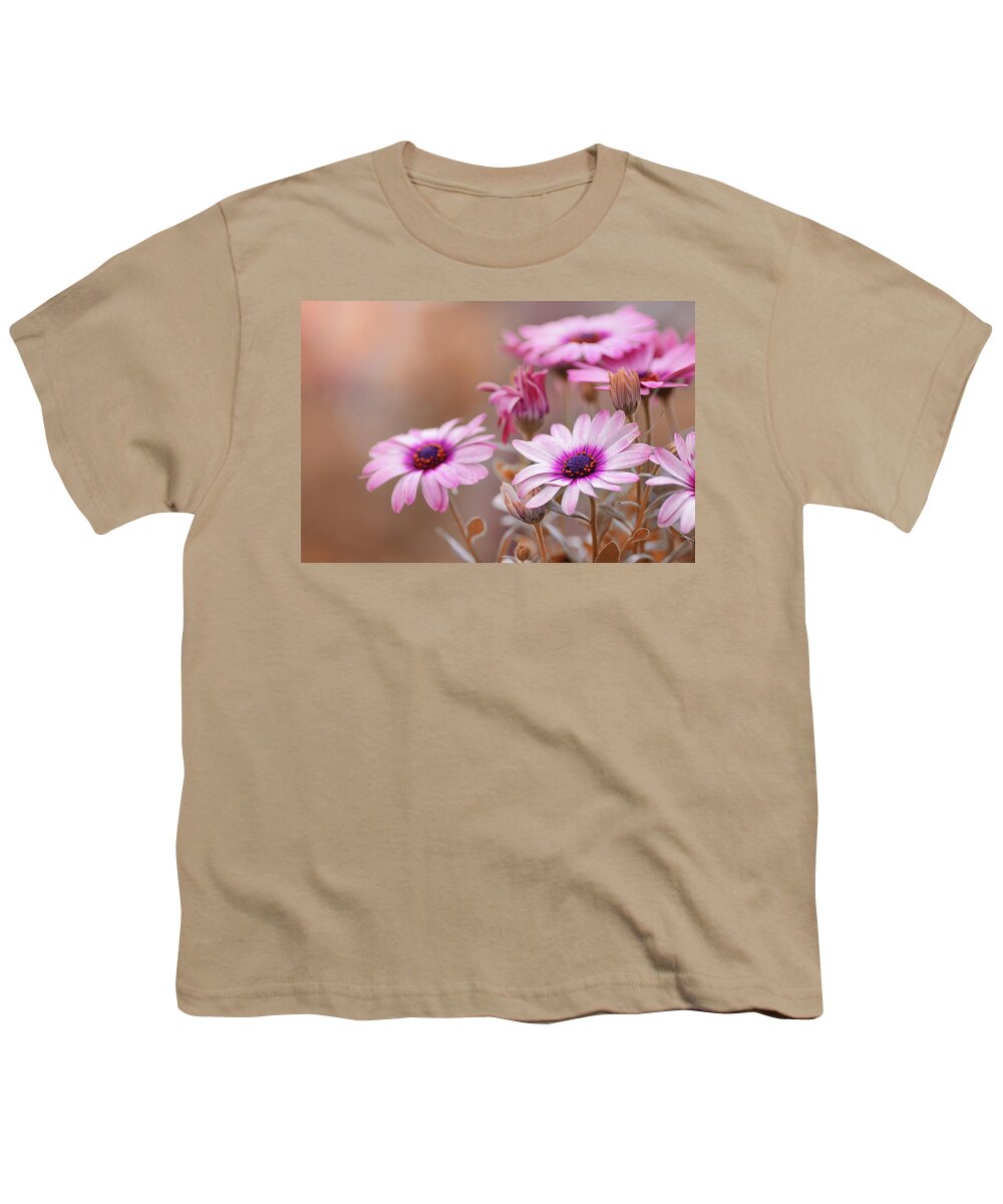 Osteospermum Youth T-Shirt featuring the photograph Osteospermum african daisy by Iwona Sikorska