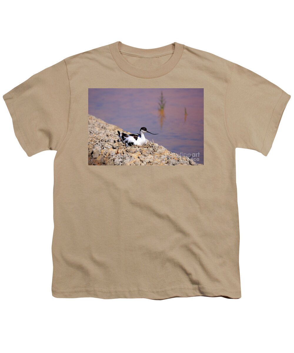 Avocet Youth T-Shirt featuring the photograph Pied avocet . by Frederic Bourrigaud
