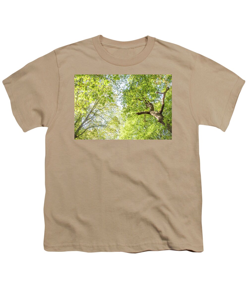 Queen's Wood Youth T-Shirt featuring the photograph Queen's Wood Trees Fall 4 by Edmund Peston