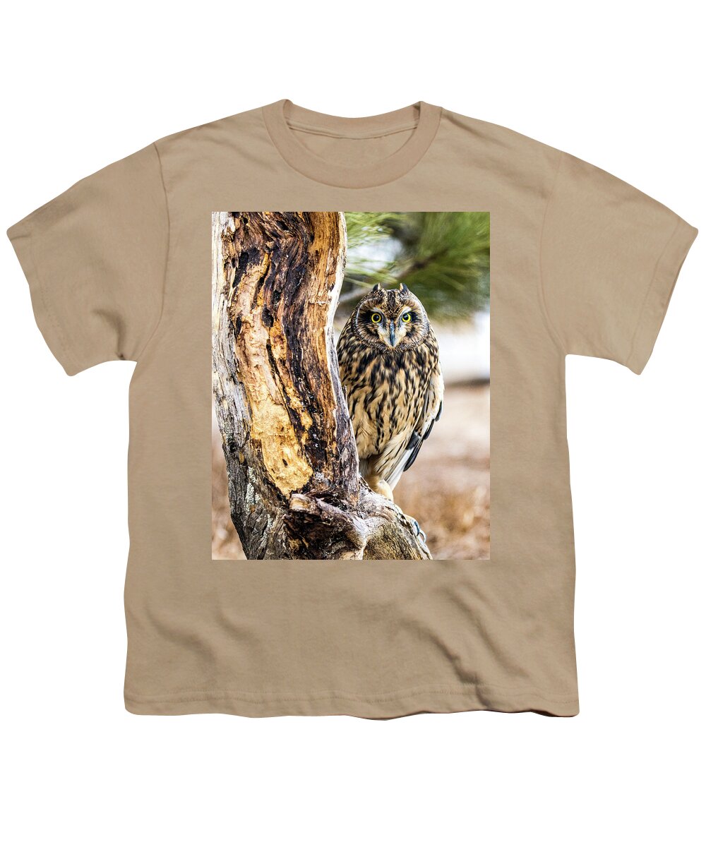 Owl Youth T-Shirt featuring the photograph Short-eared Owl Peeking by Dawn Key
