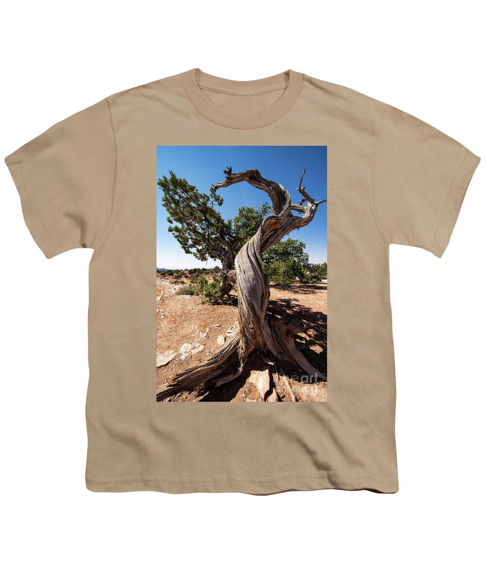 Wayne Moran Photograpy Youth T-Shirt featuring the photograph The Tree Canyonlands National Park Utah Grand View Trail by Wayne Moran