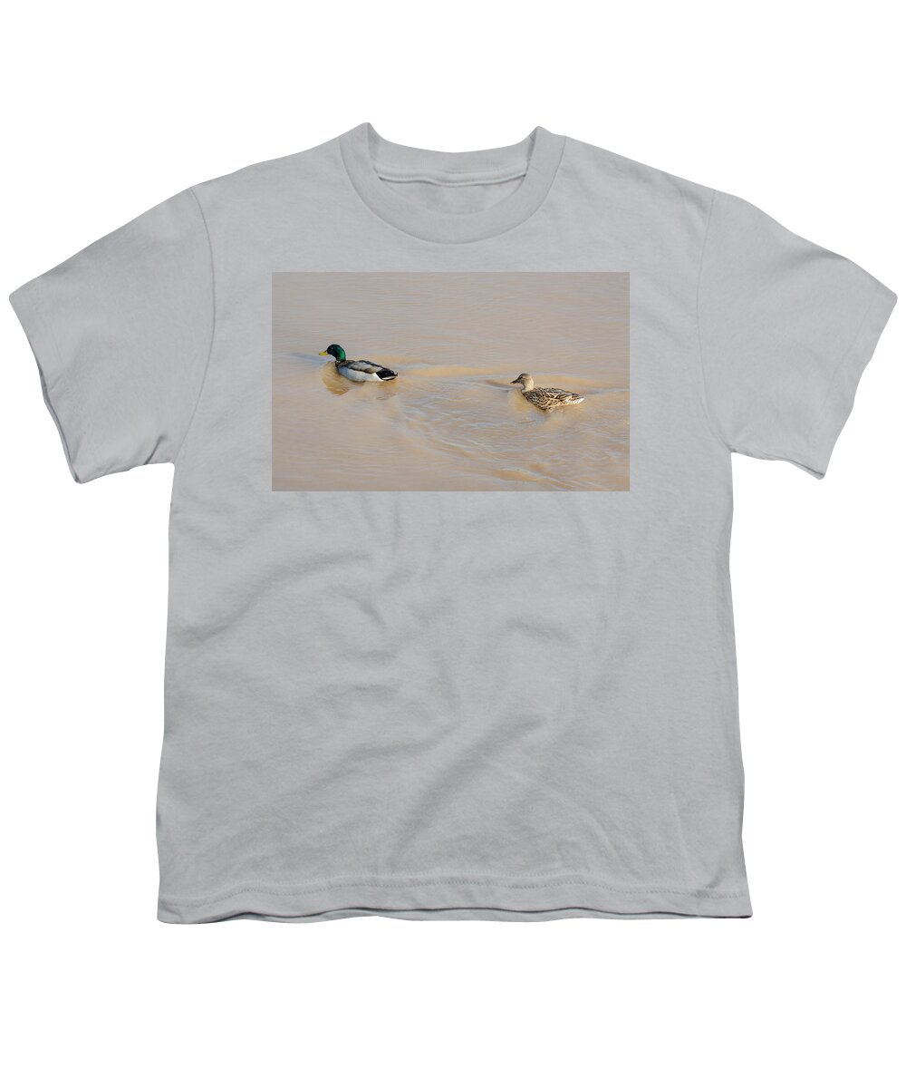 Mallards Youth T-Shirt featuring the photograph Mallard Ducks #1 by Holden The Moment
