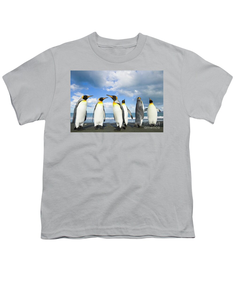 00345362 Youth T-Shirt featuring the photograph King Penguins in Gold Harbour by Yva Momatiuk John Eastcott