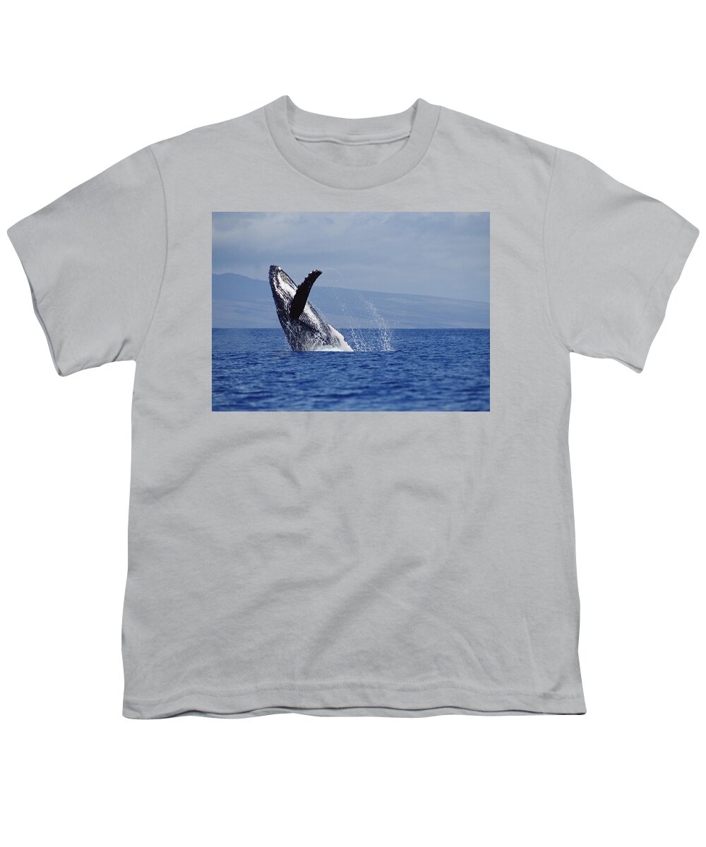 Feb0514 Youth T-Shirt featuring the photograph Humpback Whale Breaching Maui Hawaii #7 by Flip Nicklin