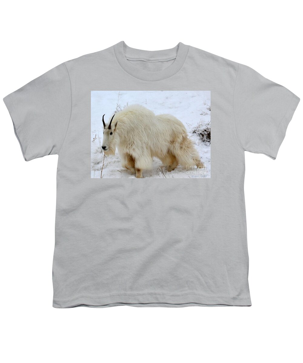 Mountain Goat Youth T-Shirt featuring the photograph A Beautiful Woman by Dorrene BrownButterfield