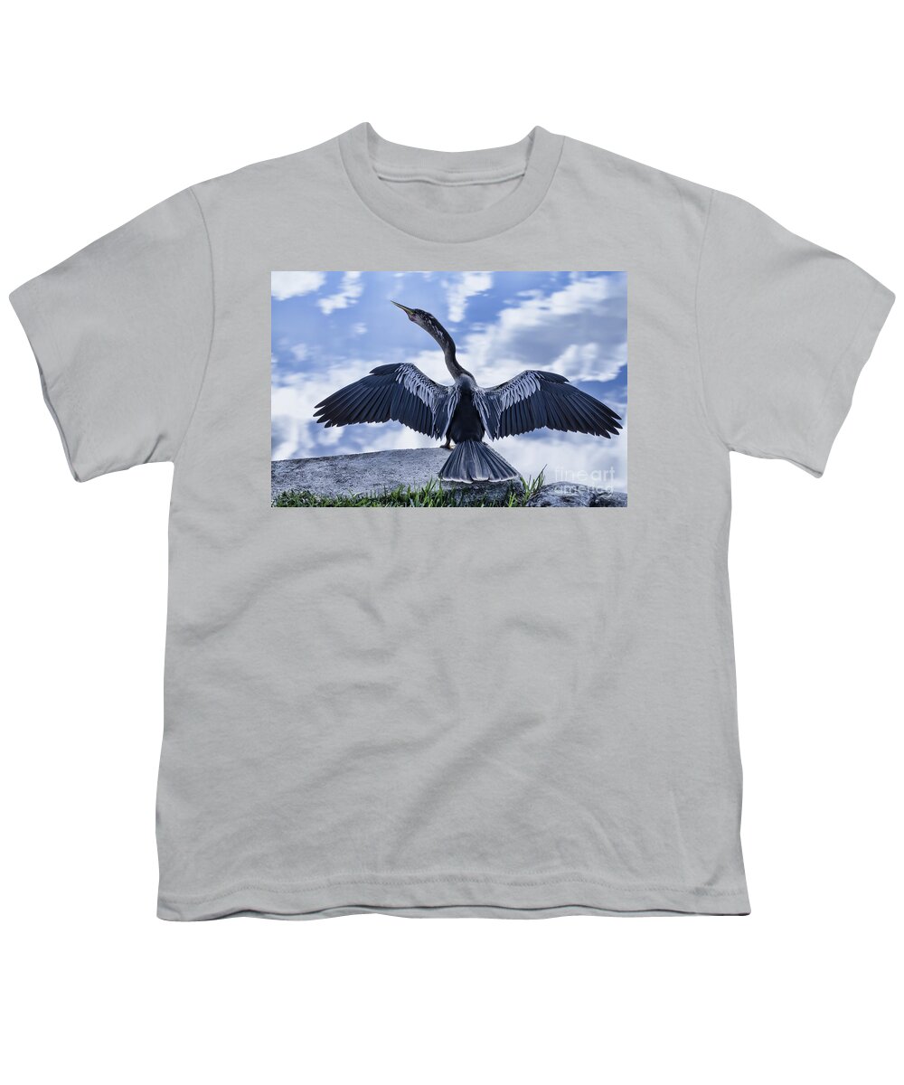 Bird Youth T-Shirt featuring the photograph Anhinga Take Off by Judy Wolinsky