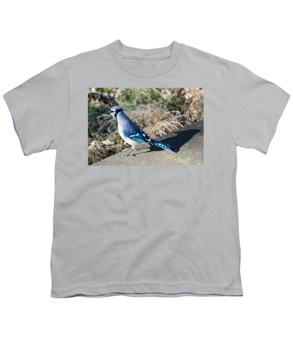 Blue Jay Youth T-Shirt featuring the photograph Blue Jay and His Shadow by Holden The Moment