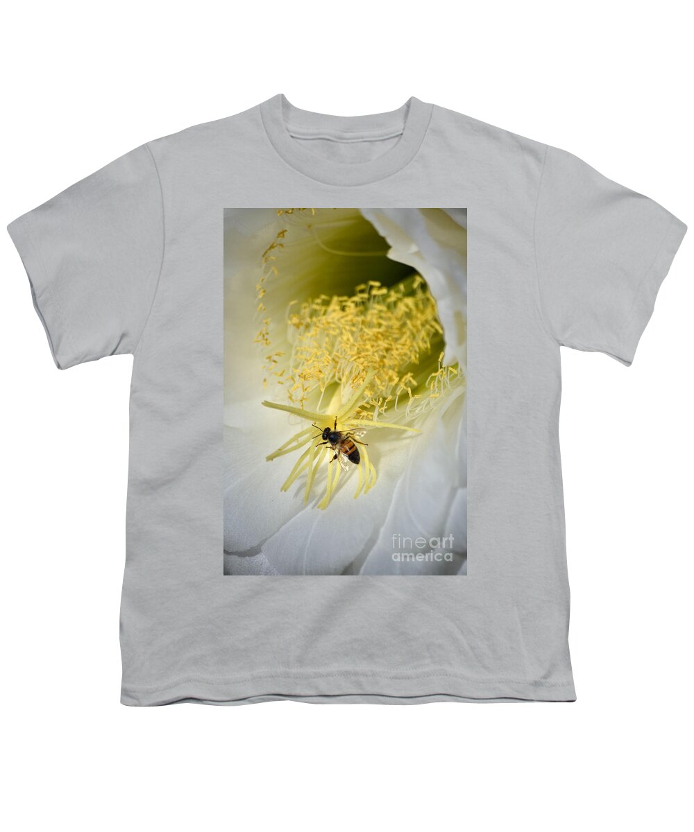 Bee Youth T-Shirt featuring the photograph Bonanza by Deb Halloran