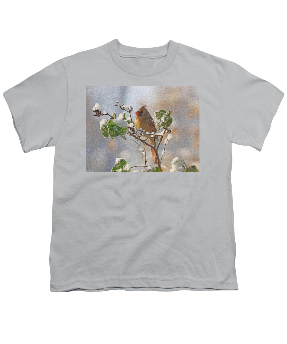 Cardinal Youth T-Shirt featuring the photograph Cardinal on Snowy Branch by Sandy Keeton