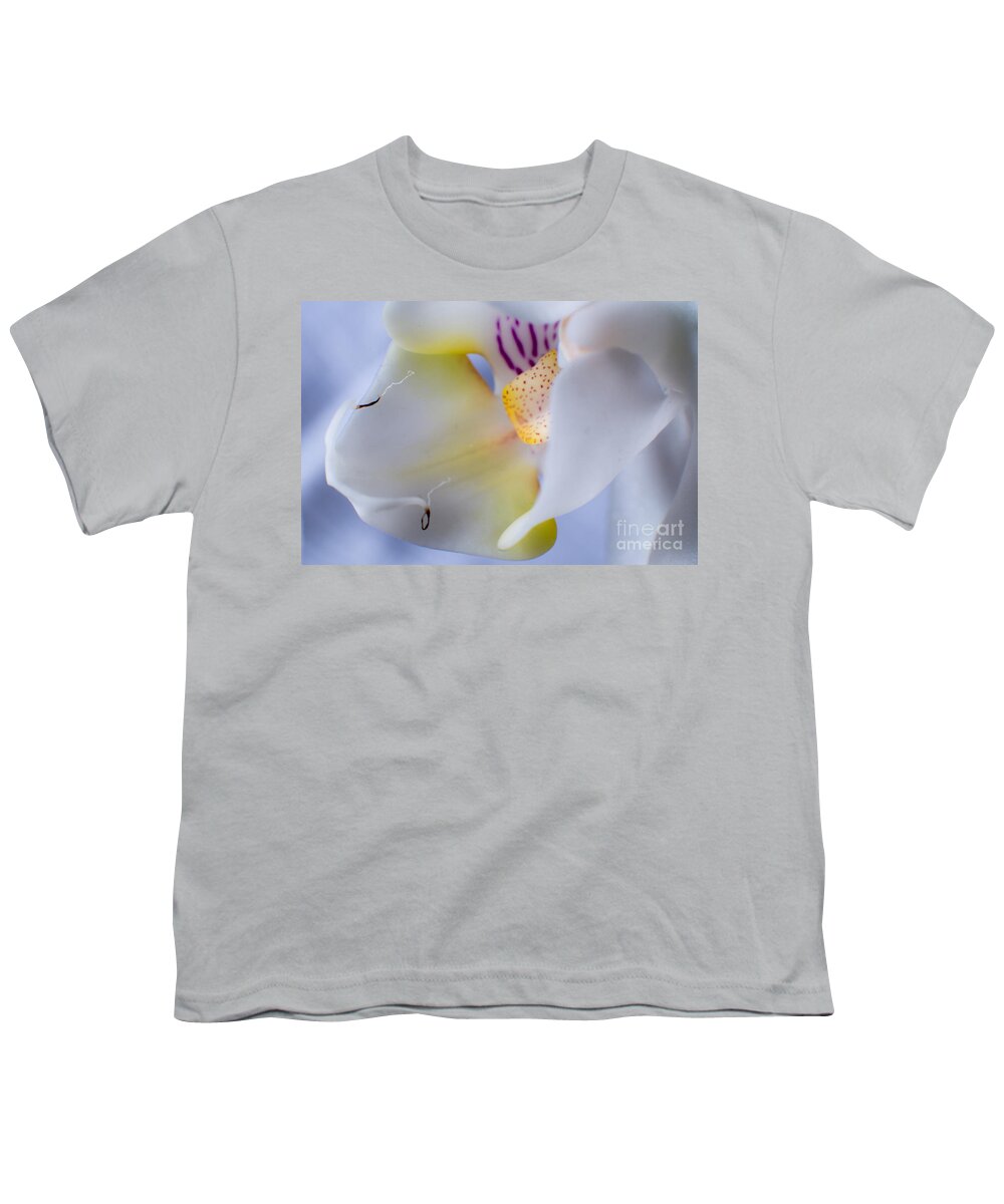 Asia Youth T-Shirt featuring the photograph Filigran by Hannes Cmarits