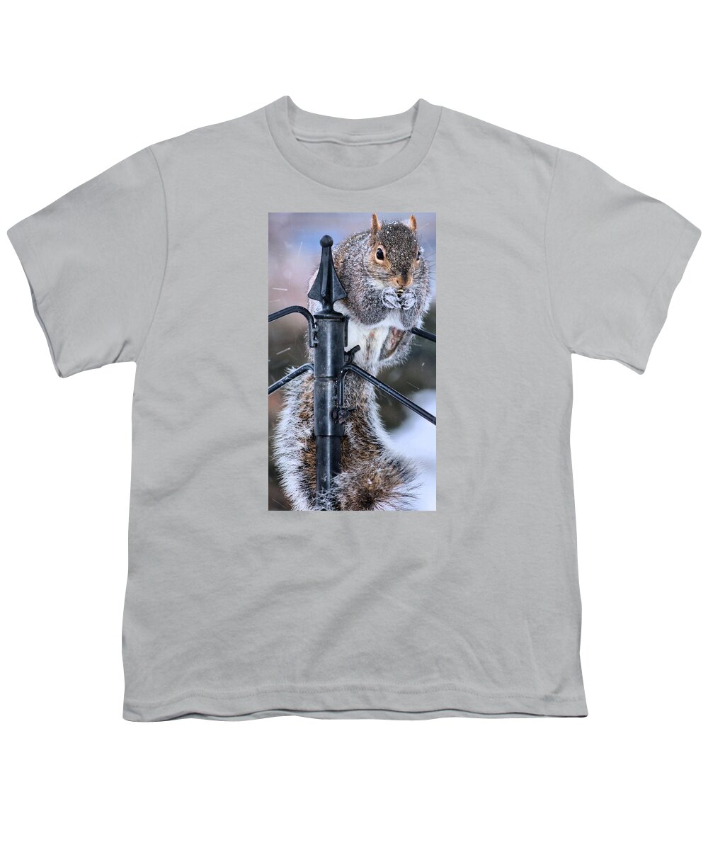 Squirrel Youth T-Shirt featuring the photograph Got to love Them by Carol Montoya