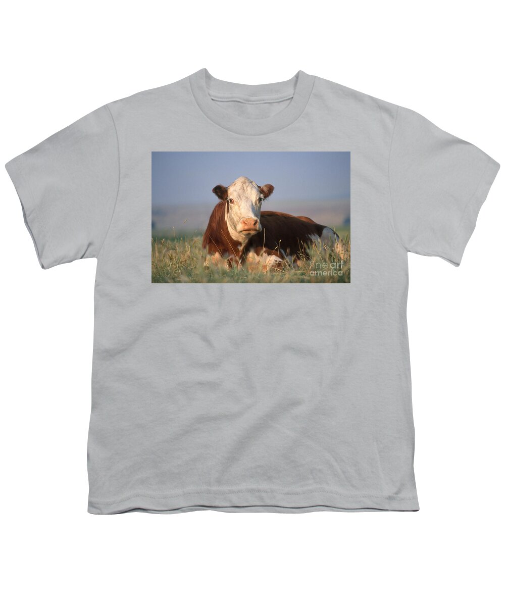 Fauna Youth T-Shirt featuring the photograph Hereford Cow by Alan and Sandy Carey