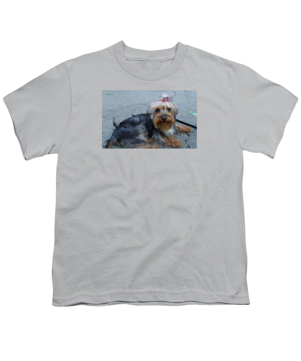 Pampered Puppy Youth T-Shirt featuring the photograph New Yorkie cutie by Lingfai Leung