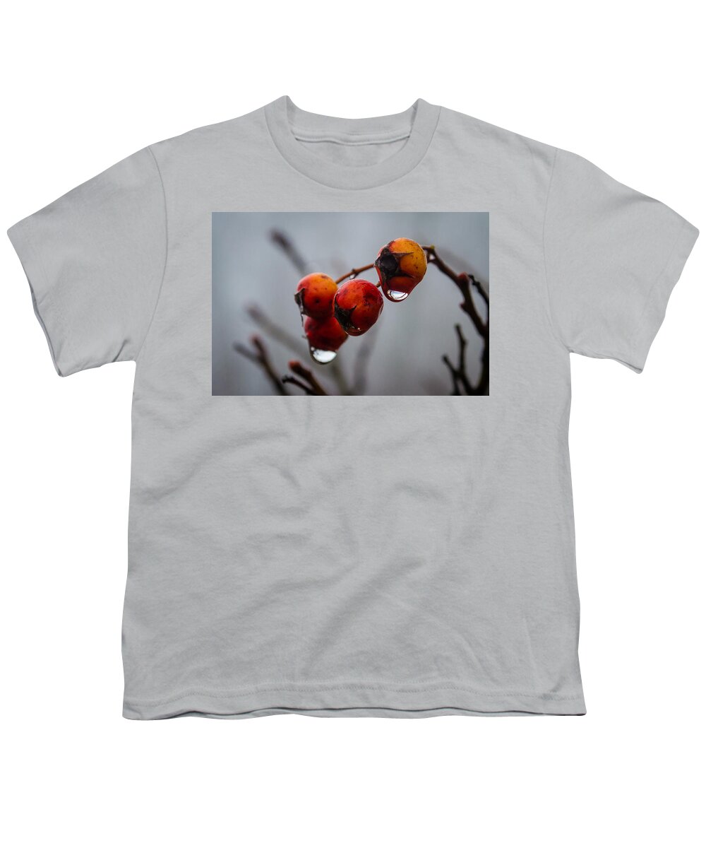 Turkey Brook Park Youth T-Shirt featuring the photograph Rain Berries I by GeeLeesa Productions