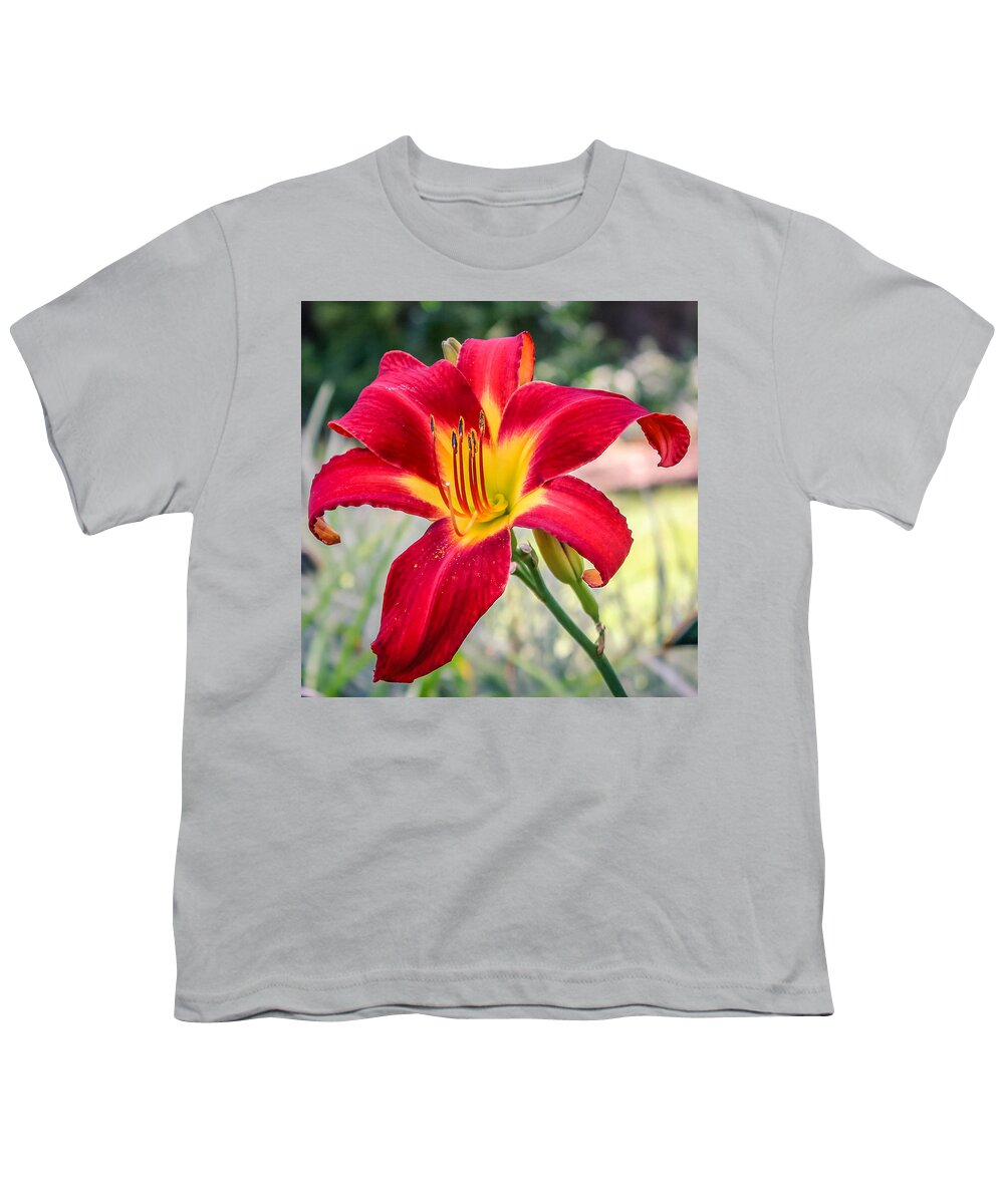 Red Youth T-Shirt featuring the photograph Red Daylily by Traveler's Pics