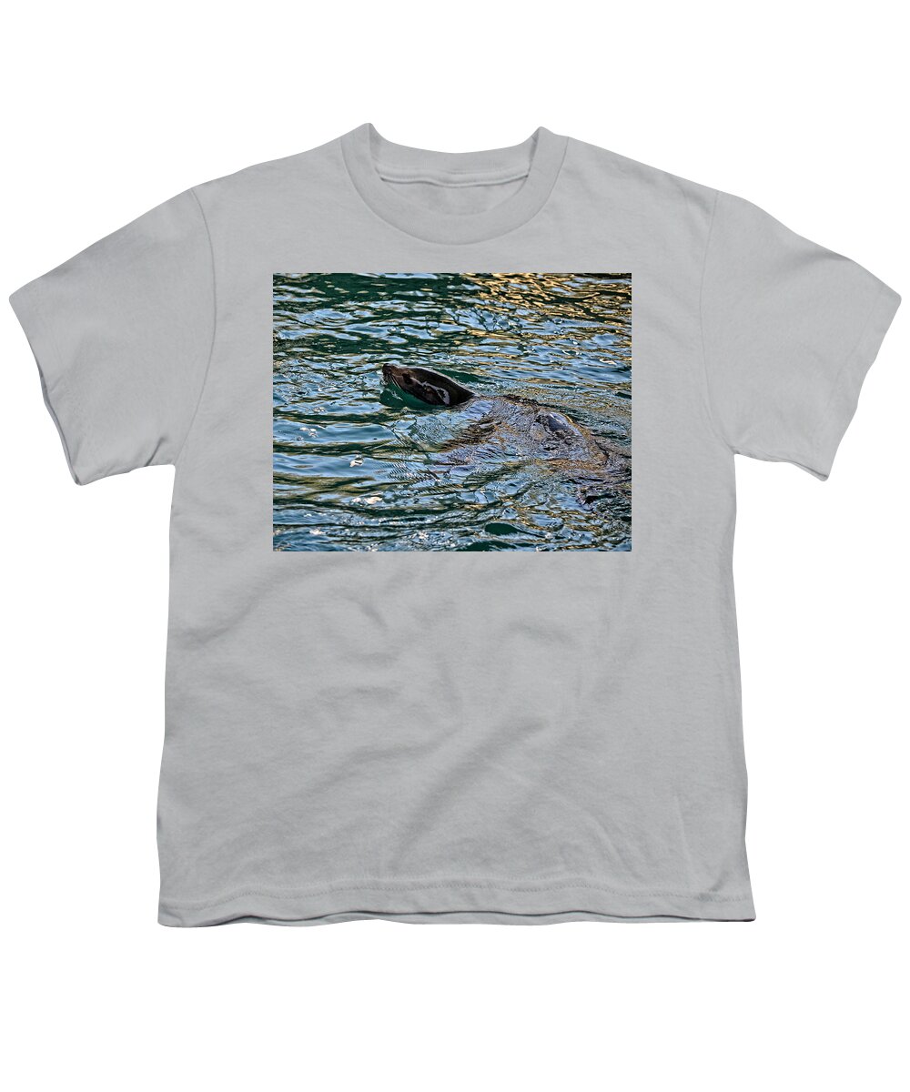 Sea Lion Youth T-Shirt featuring the photograph Sea Lion in Water by Maggy Marsh