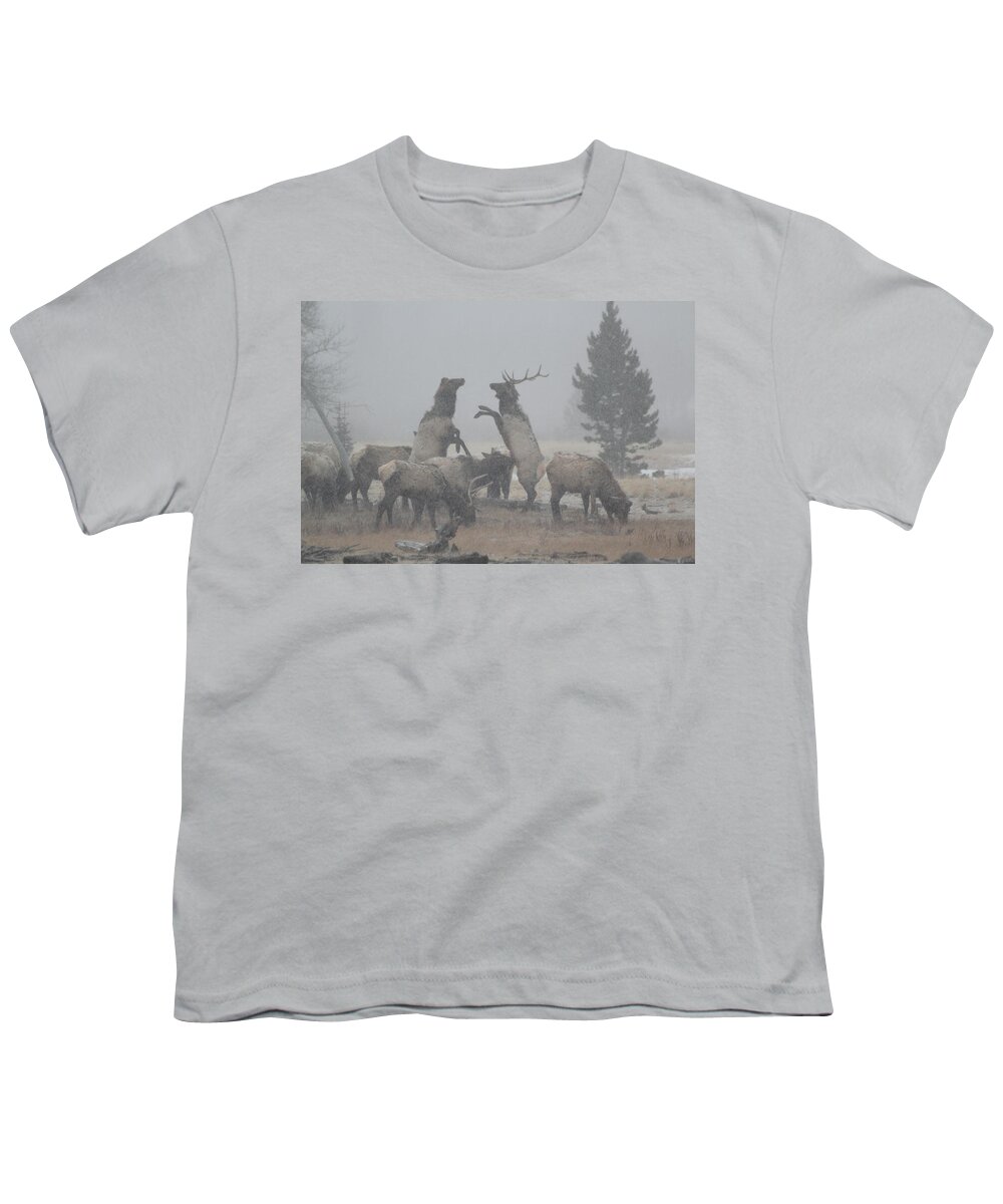 Elk Youth T-Shirt featuring the photograph Snowy Battle by Shane Bechler