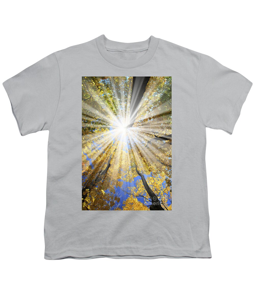 Autumn Youth T-Shirt featuring the photograph Sunrays in the forest by Elena Elisseeva