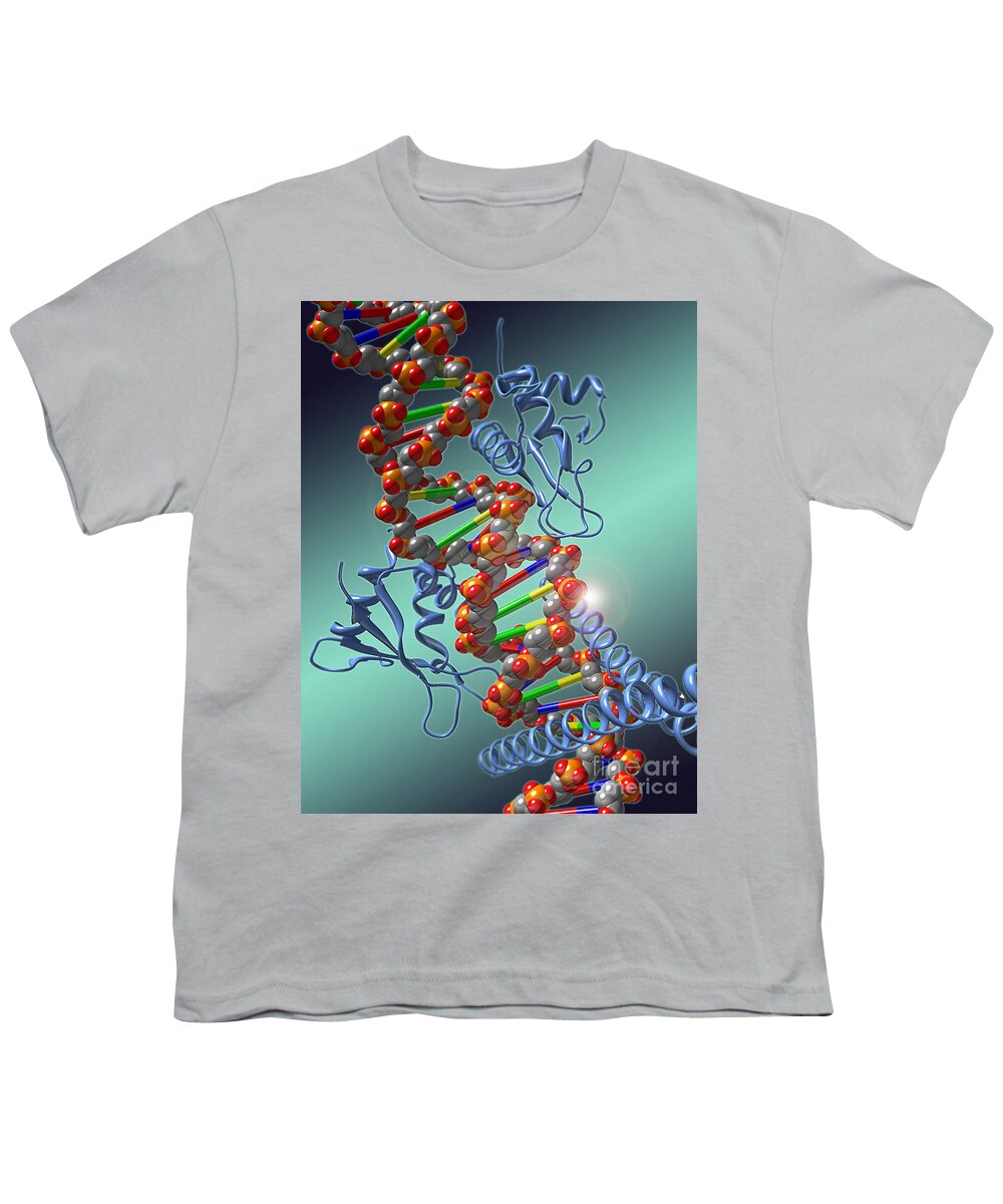 Science Youth T-Shirt featuring the photograph Transcription Factor by Evan Oto