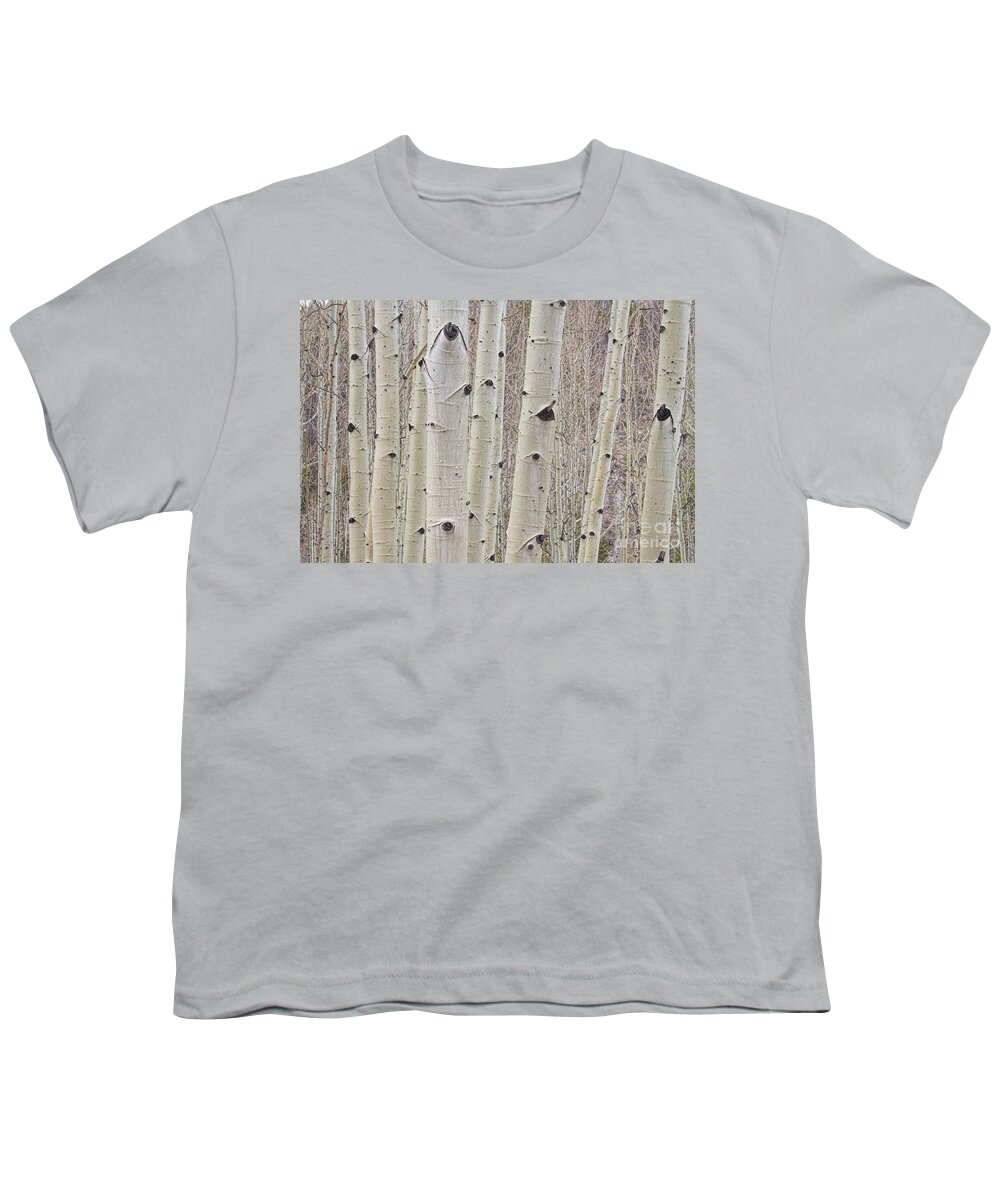 Tree Youth T-Shirt featuring the photograph Winter Aspen Tree Forest by James BO Insogna
