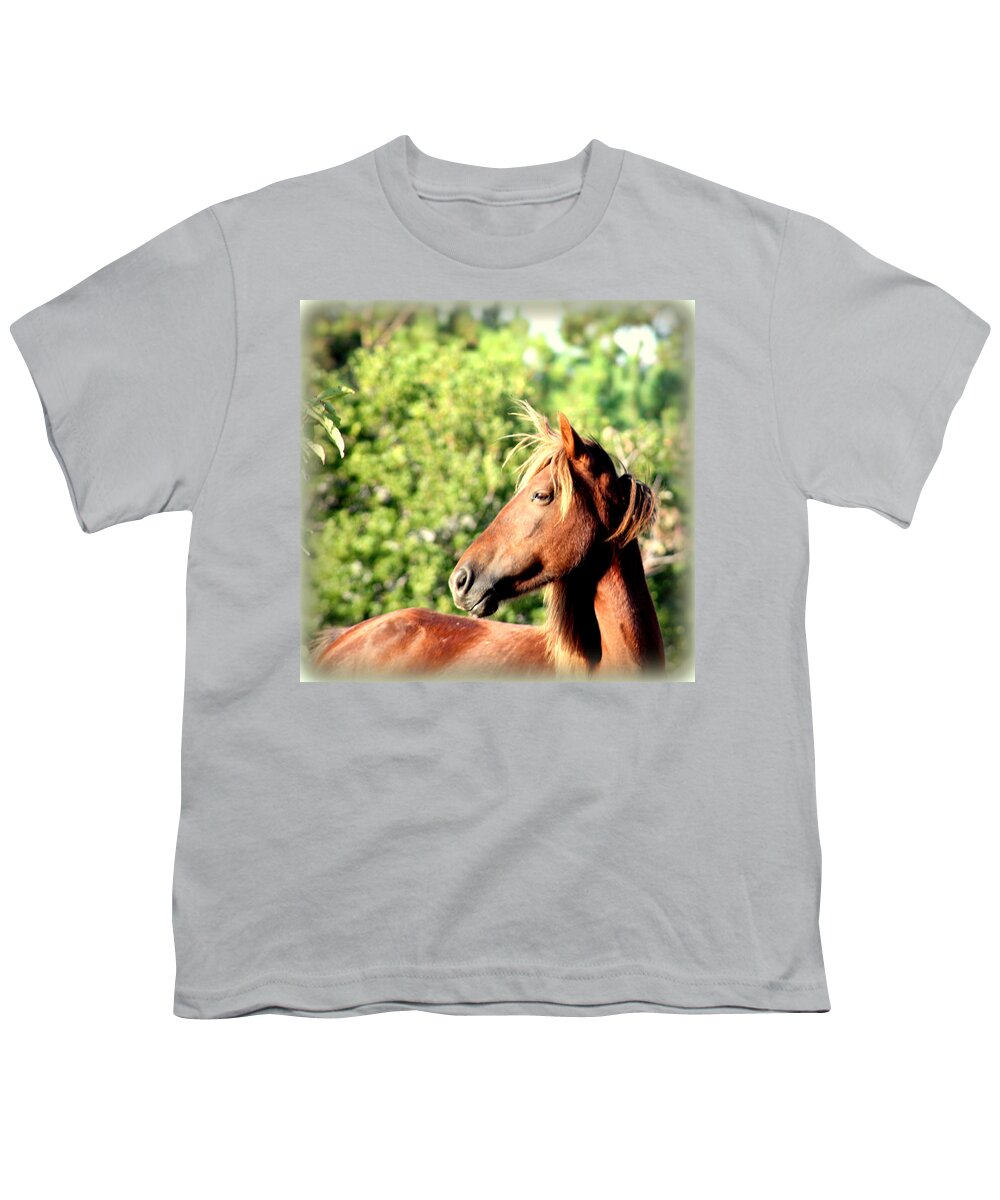 Wild Spanish Mustang Youth T-Shirt featuring the photograph A Beautiful Mare Profile Pose by Kim Galluzzo