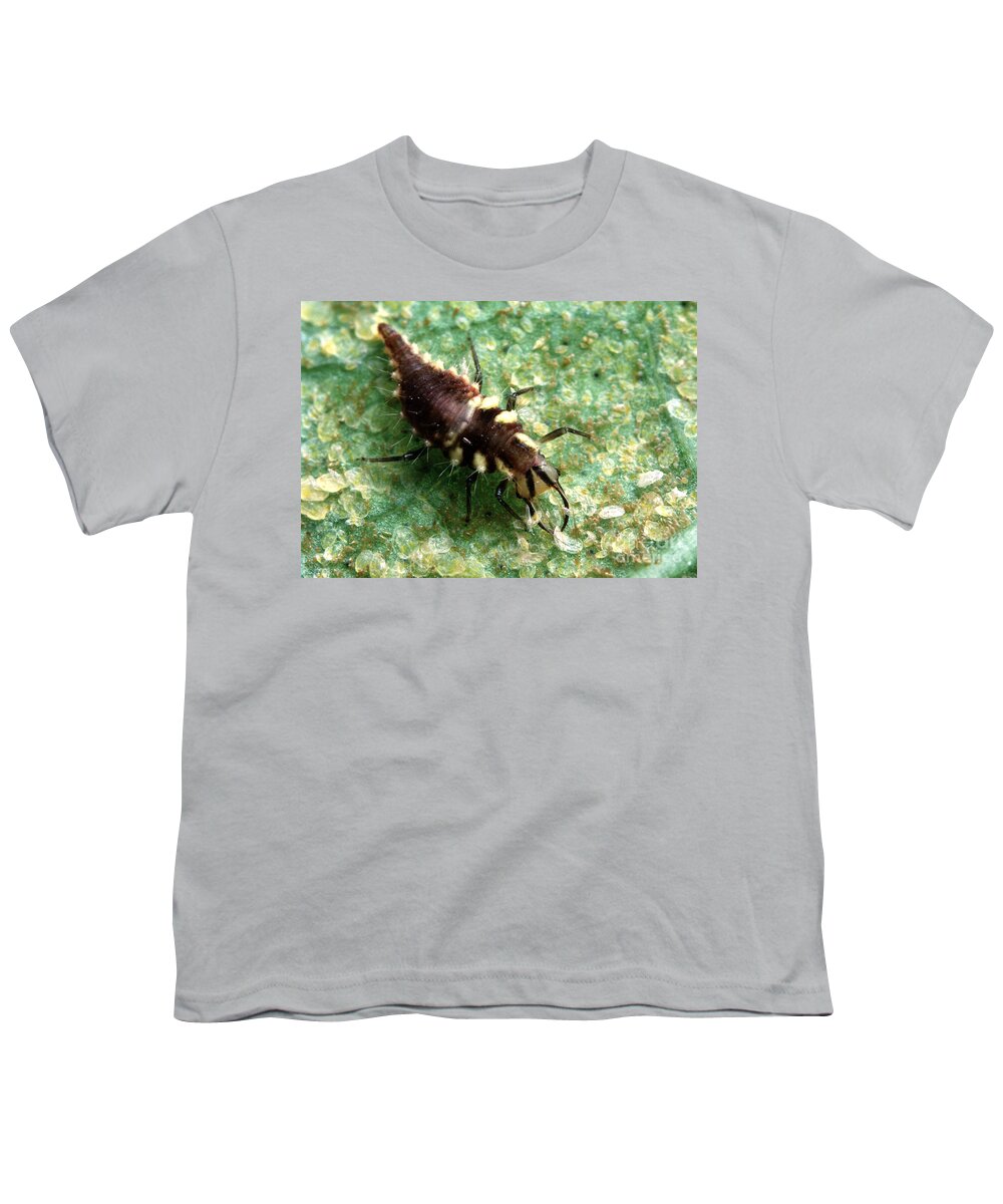 Green Lacewing Larva Youth T-Shirt featuring the photograph Green Lacewing Larva Eating by Science Source
