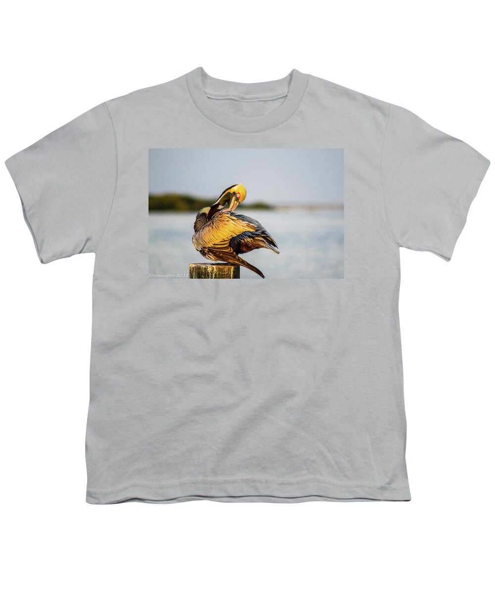 Pelican Youth T-Shirt featuring the photograph Grooming Pelican by Shannon Harrington