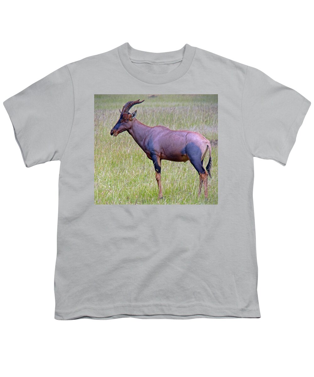 Topi Youth T-Shirt featuring the photograph Topi Antelope by Tony Murtagh