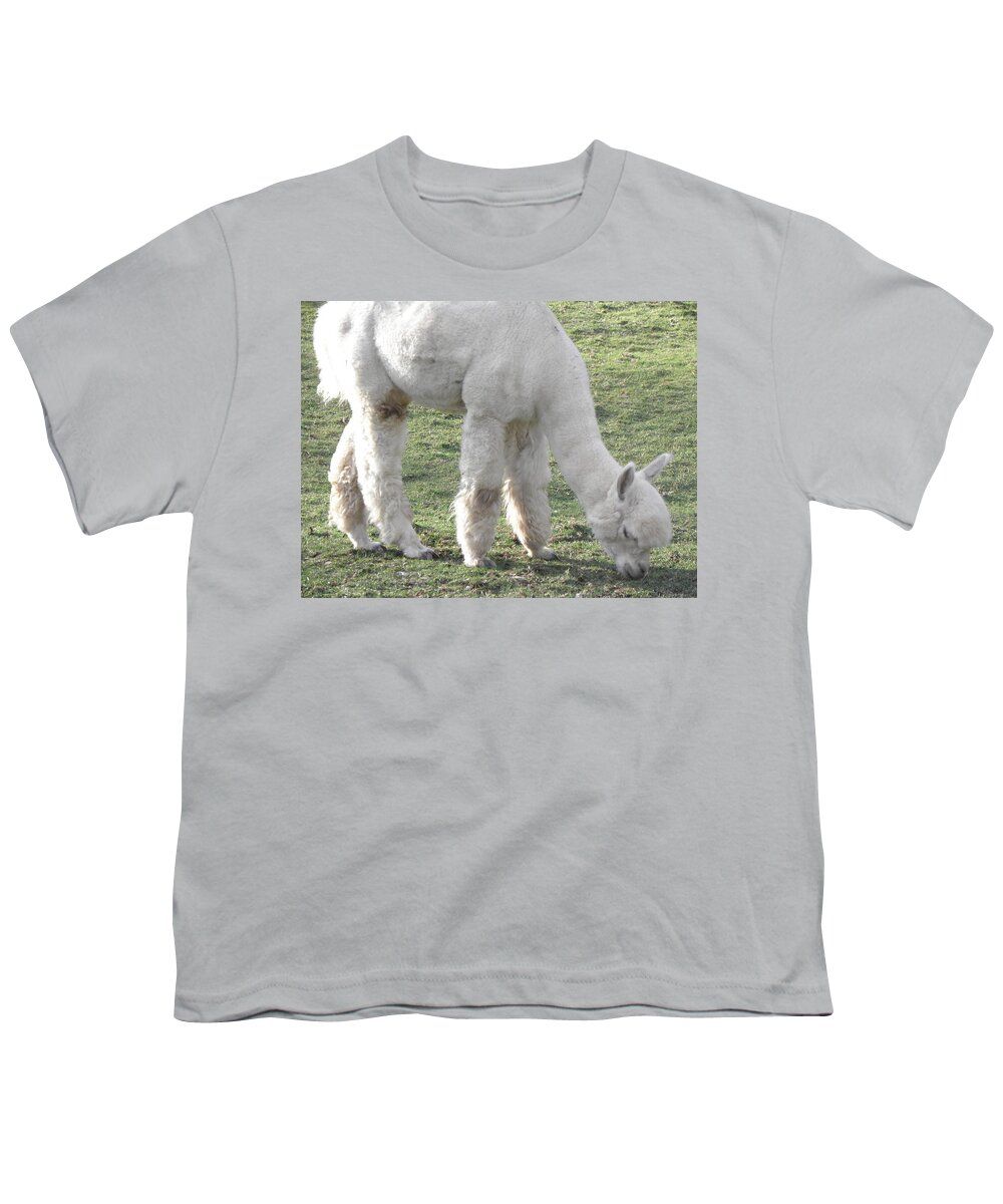 Alpaca Youth T-Shirt featuring the photograph White Fluff by Kim Galluzzo