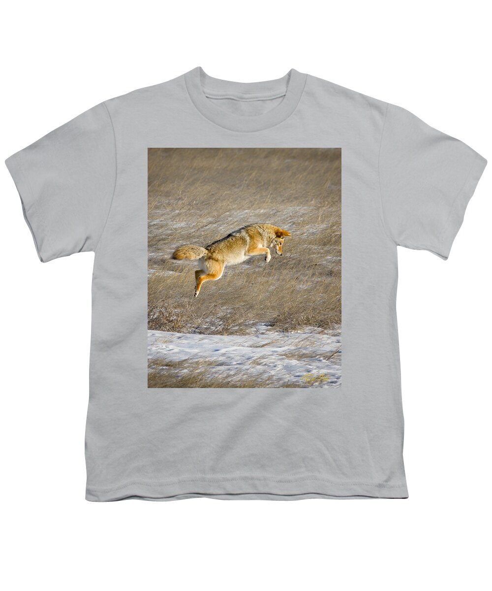Animals Youth T-Shirt featuring the photograph Flying Coyote #1 by Rikk Flohr