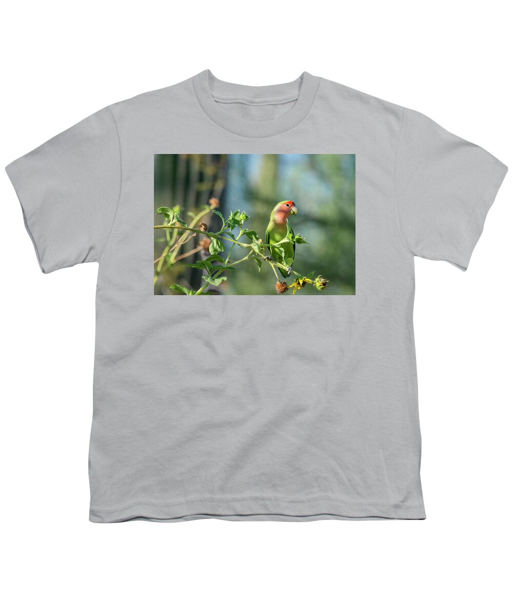 Peach Faced Lovebird Youth T-Shirt featuring the photograph Lovely Little Lovebird #1 by Saija Lehtonen