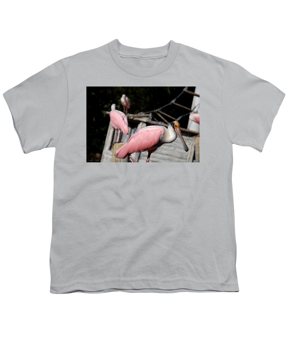 Ft. Worth Youth T-Shirt featuring the photograph Roseate Spoonbill #3 by Kenny Glover