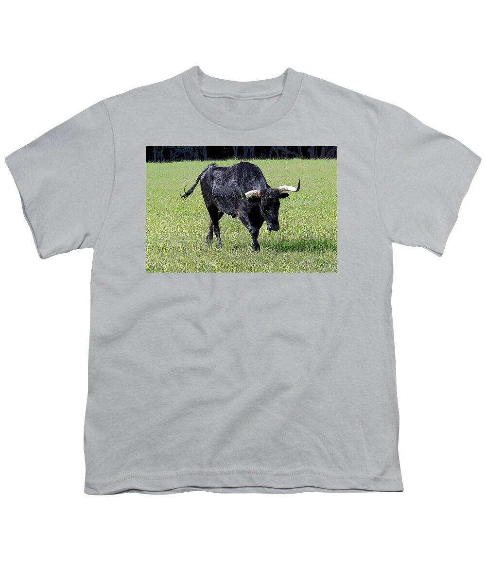 Agriculture Youth T-Shirt featuring the photograph A Longhorn Steer by Debra Baldwin