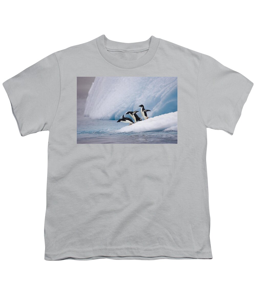 007651815 Youth T-Shirt featuring the photograph Adelie Penguin Trio Diving by Suzi Eszterhas