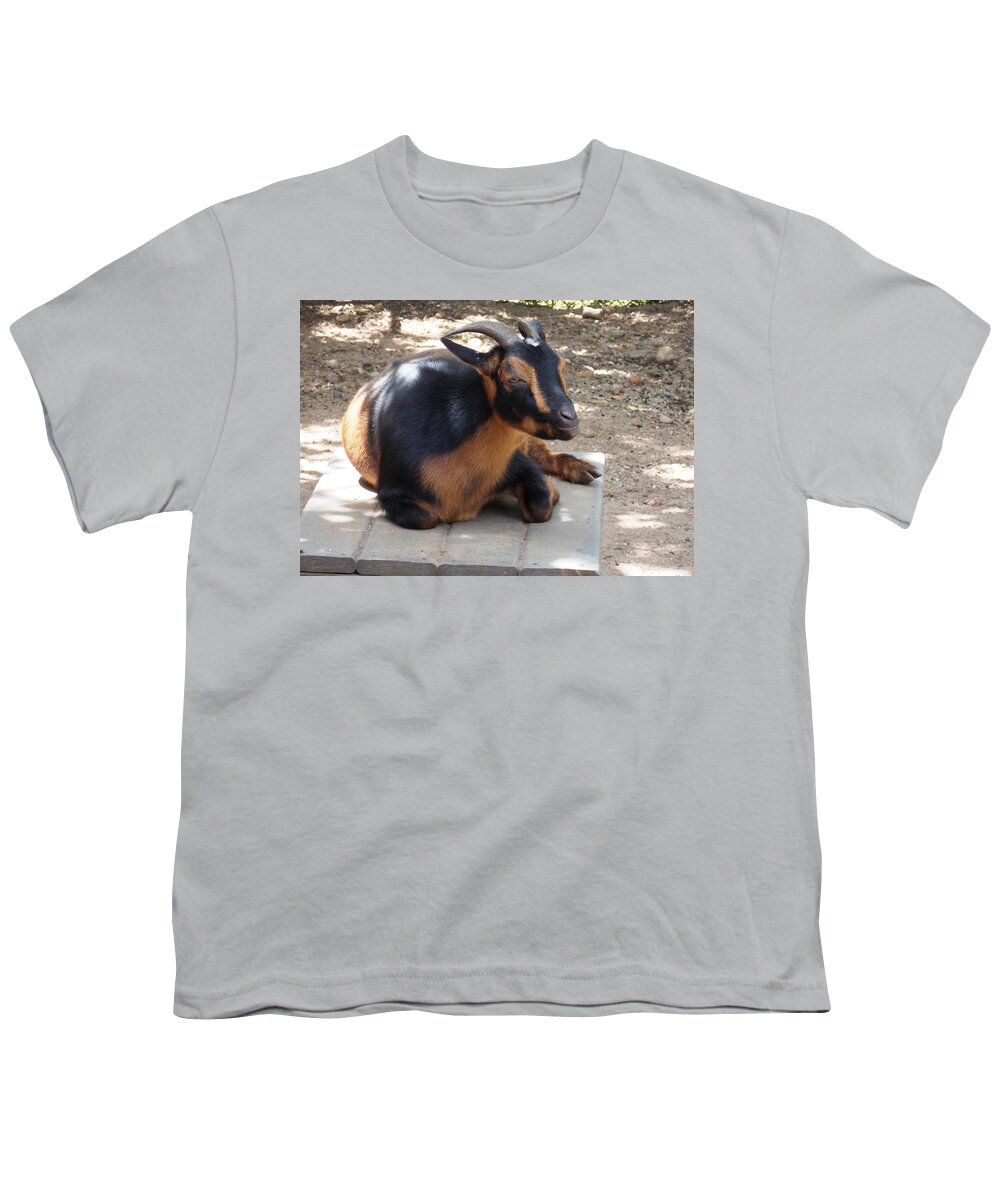 Goat Youth T-Shirt featuring the photograph Afternoon Break by Nina Kindred